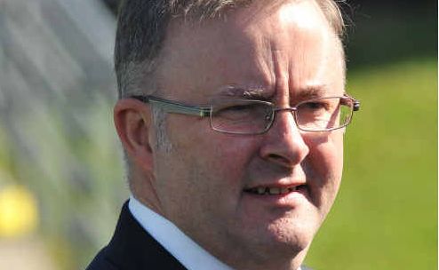 Infrastructure Minister Anthony Albanese Infrastructure Minister Anthony Albanese
